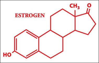 estrogen ginekomastia