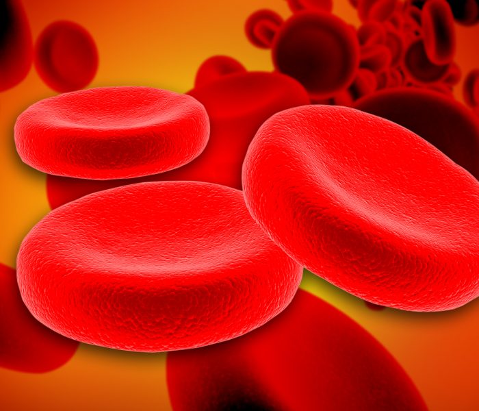 Czerwone krwinki to podstawowe komórki macierzyste!