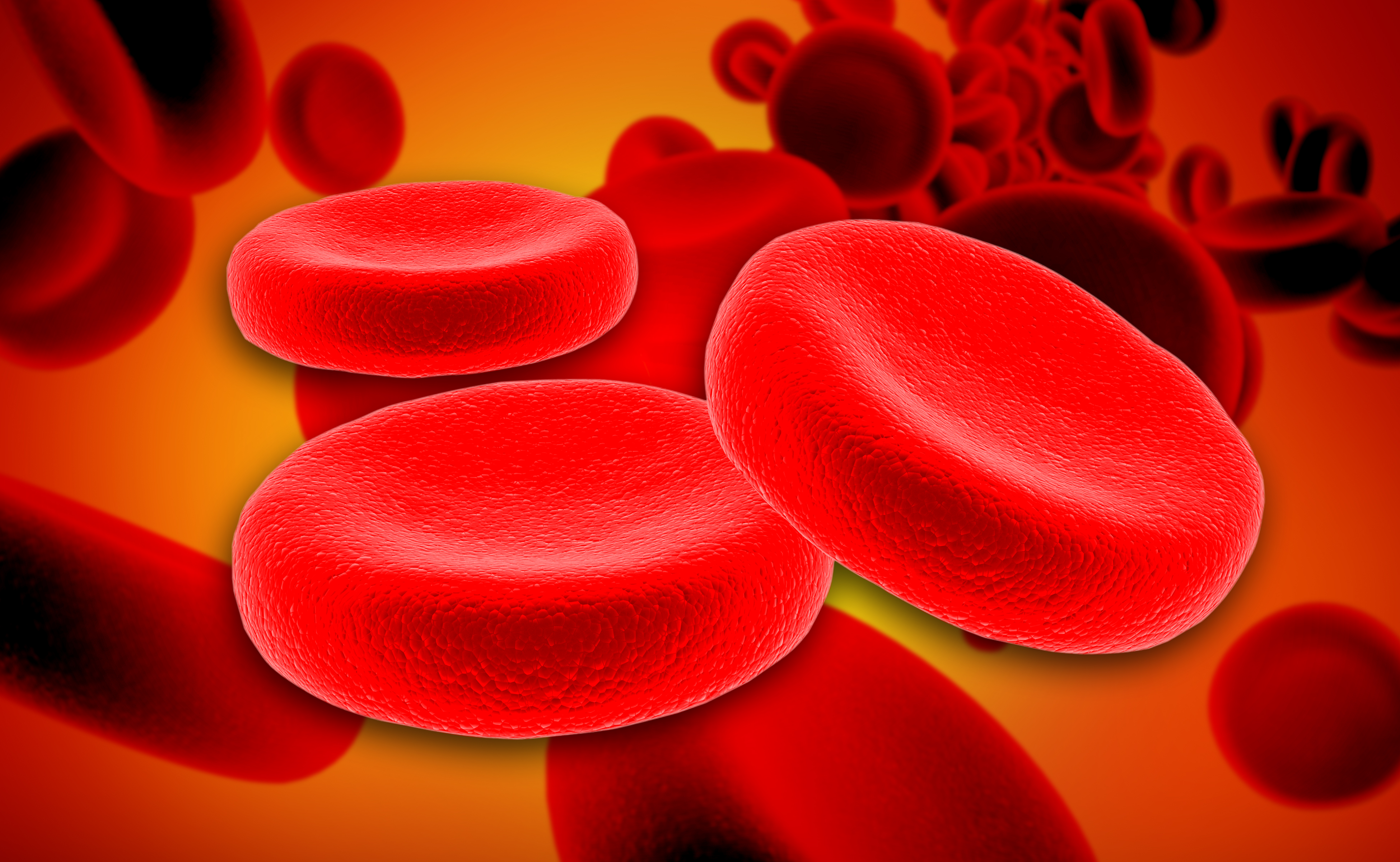 Czerwone krwinki to podstawowe komórki macierzyste!