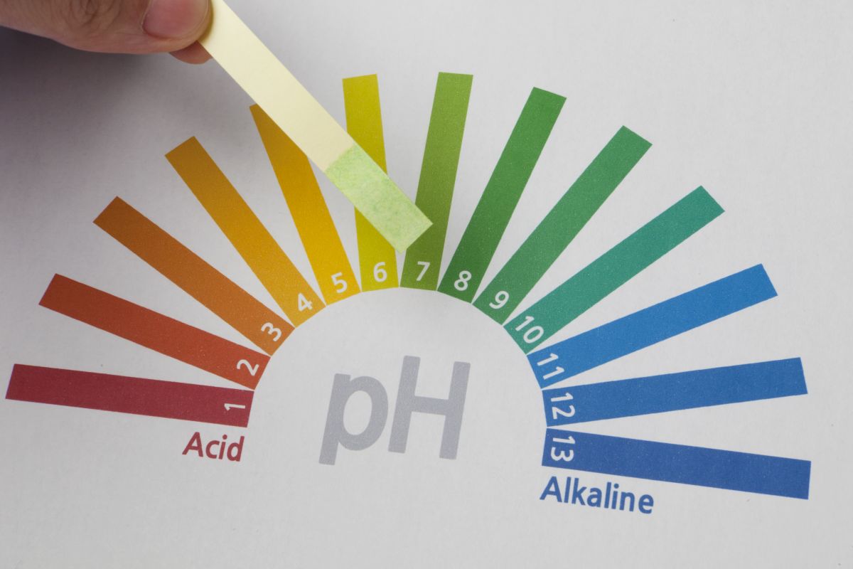 Jak zbadać pH organizmu człowieka?