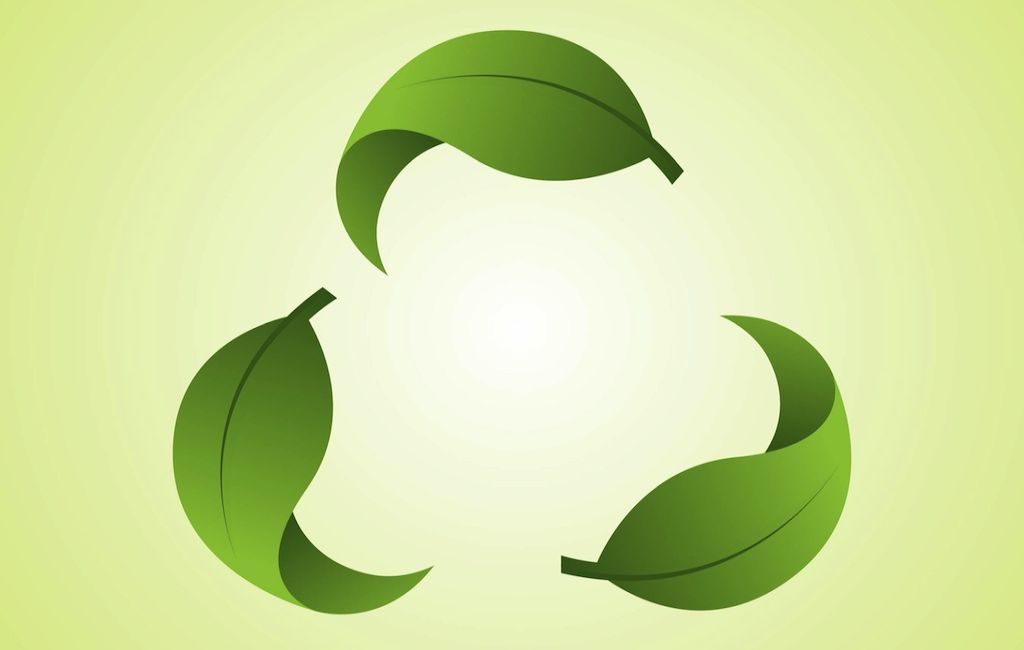 Produkt biodegradowalny i kompostowalny – który jest bardziej przyjazny naturze?